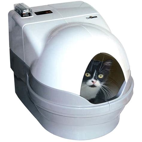 best electric litter box for multiple cats|largest capacity automatic litter box.